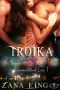 [Uncoventional love 01] • Troika